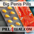 Big Penis Pills new01